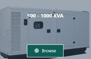 500 - 1000 6.5 KVA Hyundai DHY6000SE