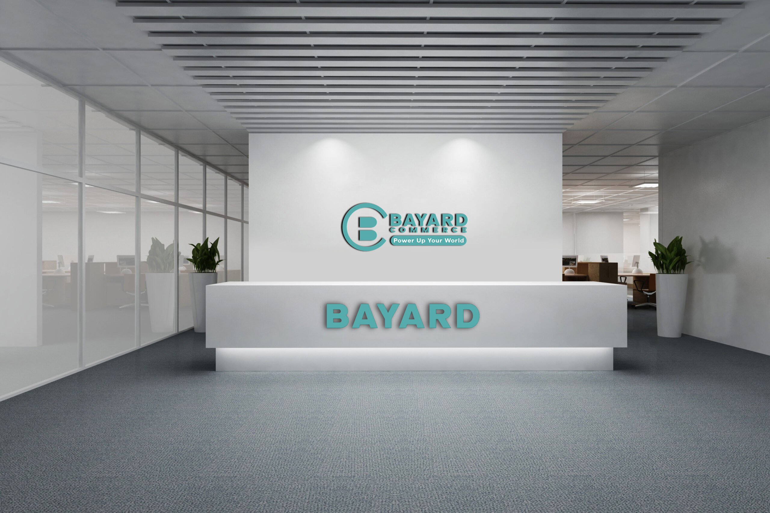 BAYARD-COMMERCE-1